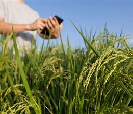 Sustainable Agriculture and agribusiness development