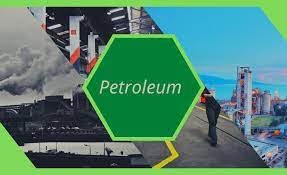 Petroleum Project Economics and Analysis