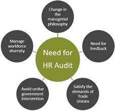 Managing the Human Resource Audit Function